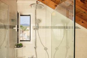 y baño con ducha y puerta de cristal. en George Beachfront Apartments en Lithakia