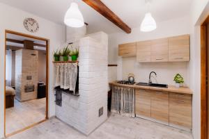 uma cozinha com uma parede de tijolos e uma lareira em Domek na Podlasiu em Dubicze Cerkiewne