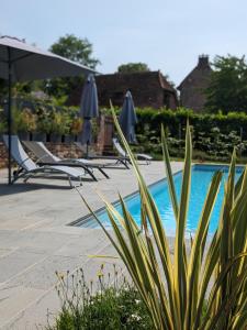 un gruppo di sedie e ombrelloni accanto alla piscina di Château de Vassinhac chambres d'hôtes Collonges la rouge a Collonges