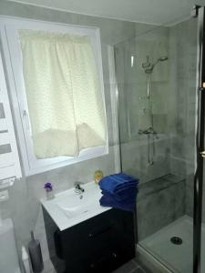 a bathroom with a sink and a shower at Studiowillangel in Régusse +9 photos