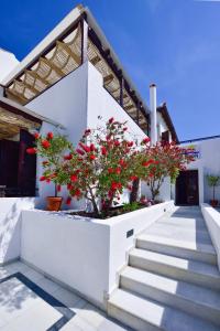 a white building with a staircase with red flowers at Kalidon beach Hotel in Kokkari