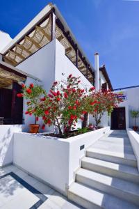 Vonkajšia záhrada v ubytovaní Kalidon beach Hotel