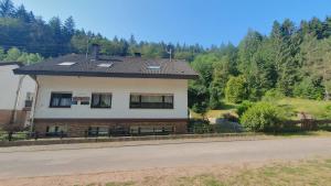 a house on the side of a road at Pension Ernst im Herzen des Pfälzerwaldes mit Küche in Elmstein +16 photos