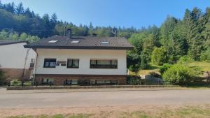 a house with a black roof on a road at Pension Ernst im Herzen des Pfälzerwaldes mit Küche in Elmstein