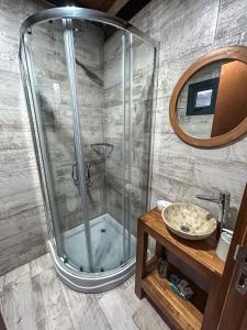 a shower in a bathroom with a sink and a mirror at Apartamento simple y cómodo in Villa La Angostura