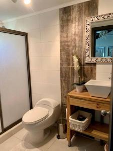bagno con servizi igienici, lavandino e specchio di La casita de Las Trancas a Pinto
