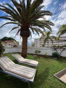two lounge chairs under a palm tree next to a building at Nice Apartment in Las Americas/Costa Adeje 1 in Playa de las Americas +21 photos