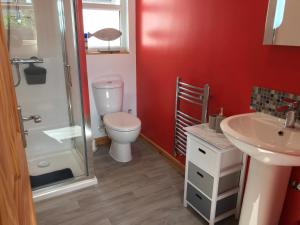 a bathroom with a toilet and a sink and a shower at Woodpecker Glamping Cabin in Bodmin +7 photos