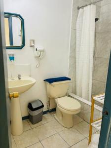 a bathroom with a toilet and a sink and a shower at ICCE HOTEL in Santiago