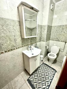 La salle de bains est pourvue de toilettes, d'un lavabo et d'un miroir. dans l'établissement Lux stan na dan Pozarevac, à Požarevac