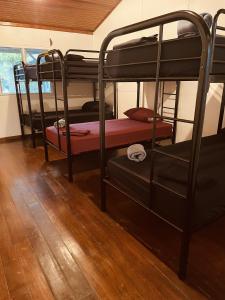 grupa łóżek piętrowych w pokoju w obiekcie El Clan Hostel w mieście Puerto Viejo