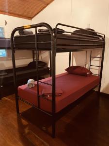 Bunk bed o mga bunk bed sa kuwarto sa El Clan Hostel