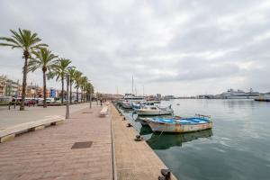 eine Gruppe von Booten, die in einem Hafen mit Palmen angedockt sind in der Unterkunft Acogedor apartamento en Serrallo in Tarragona