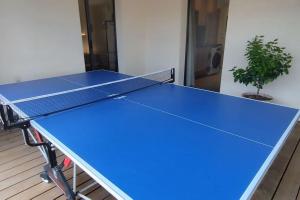 una mesa de ping pong azul en una habitación en Gîte Aux Bons Voisins en Gordes
