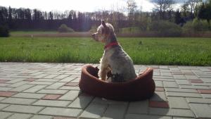 Fotografie z fotogalerie ubytování Penzion Hastrman v Doudlebech + 40 fotografií