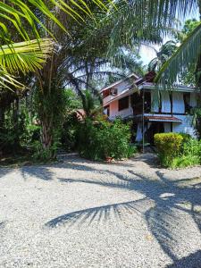 una casa con una palmera al lado de un edificio en Chilamate Holiday House, en Puerto Viejo