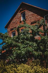 a tree in front of a brick building with windows at Ferienhaus Jena - Teamwork Holiday House 