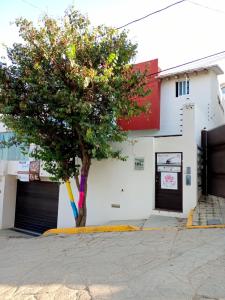 un árbol sentado frente a un edificio blanco en Casa del Pibe Piola en Oaxaca de Juárez