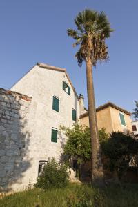 una palmera frente a un edificio en Bed & Breakfast Vila Baguc, en Split