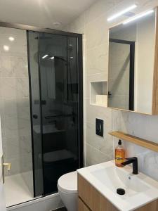 y baño con ducha, lavabo y aseo. en Charmant Duplex, 300 m de la mer en Courseulles-sur-Mer