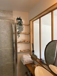 a bathroom with a mirror and a sink and a shower at La pointe Cap ferret in Lège-Cap-Ferret