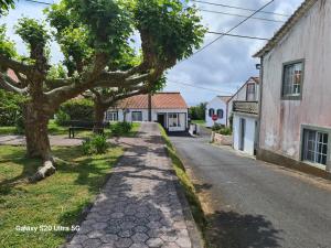 an empty street with a tree and a building at AL Luso Brasileiro in Lajes das Flores