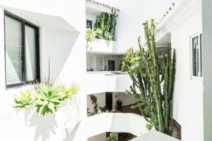 Zdjęcie z galerii obiektu Sweet Inn - Casa Banus w Marbelli