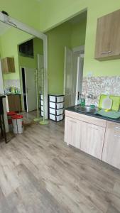 een keuken met groene muren en een houten vloer bij Apartment Kiki in Novi Sad