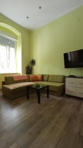 uma sala de estar com um sofá e uma televisão de ecrã plano em Apartment Kiki em Novi Sad