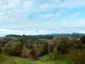 a view of a field with trees on a hill at Thistle and Pine Cottage Farmstay in Tauranga