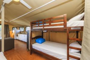 a couple of bunk beds in a room at Reflections Red Rock - Holiday Park in Red Rock