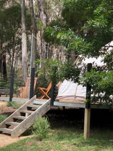 a bed in a park with a tree at Garden Beds Glamping in Blackwood