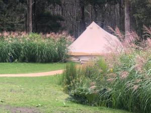a white tent in the middle of a garden at Garden Beds Glamping in Blackwood