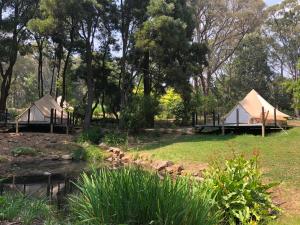 a group of tents in a field with trees at Garden Beds Glamping in Blackwood