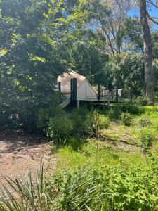 a small house in the middle of a field at Garden Beds Glamping in Blackwood