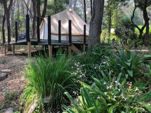 a gazebo with a tent in the woods at Garden Beds Glamping in Blackwood