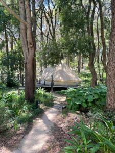 uma tenda no meio de uma floresta com árvores em Garden Beds Glamping em Blackwood