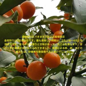 Galerija fotografija objekta 枇杷物語 u gradu 'Shimo-taga'