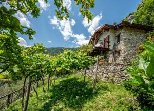 Φυσικό τοπίο κοντά σε αυτή η παραθεριστική κατοικία +29 φωτογραφίες