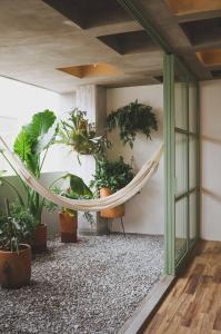 uma rede num quarto com vasos de plantas em Xolo em Cidade do México