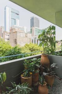 balcone con piante in vaso e vista sulla città di Xolo a Città del Messico