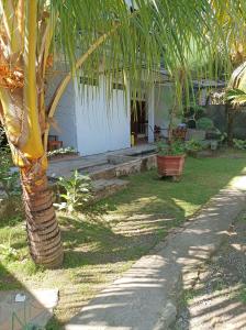 Κήπος έξω από το Merendeng Hostel Kuta