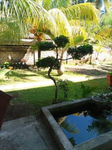 Κήπος έξω από το Merendeng Hostel Kuta
