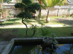 Κήπος έξω από το Merendeng Hostel Kuta