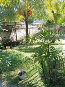 Κήπος έξω από το Merendeng Hostel Kuta