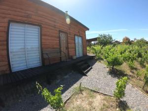 Um jardim no exterior de Cabaña Refugio Magenta