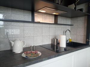 - un comptoir de cuisine avec une assiette de fruits et un évier dans l'établissement Nowoczesne apartamenty Jezioro Ukiel Zatoka Miła Plaża Miejska, à Olsztyn