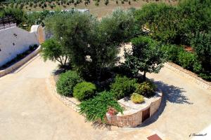 Zahrada ubytování Masseria Peppeturro