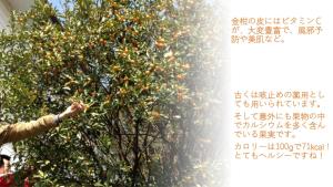 Galerija fotografija objekta 枇杷物語 u gradu 'Shimo-taga'