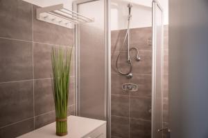 a bathroom with a shower with a green plant at Wohnung Seeblick in Sattendorf